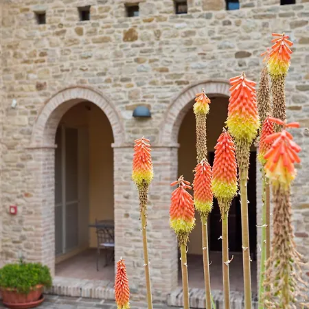 Beautiful In With Swimming Pool Belforte allʼIsauro