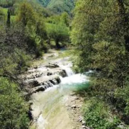 Beautiful In With Swimming Pool Belforte allʼIsauro