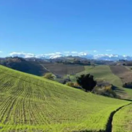 别墅 Beautiful In With Swimming Pool