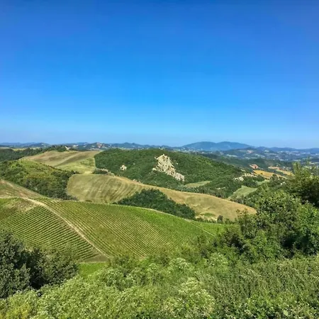 Beautiful In With Swimming Pool