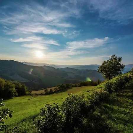 Beautiful In With Swimming Pool 别墅