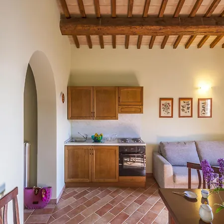 Beautiful In With Swimming Pool *